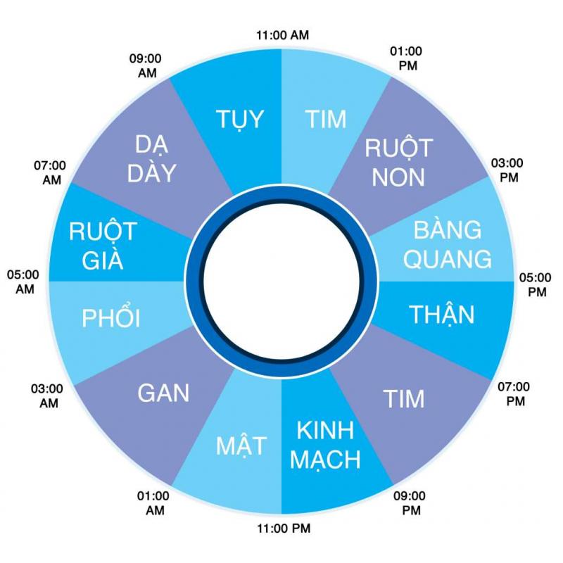23 - 5 giờ sáng hôm sau: Thời gian giải độc cho mật, gan và phổi