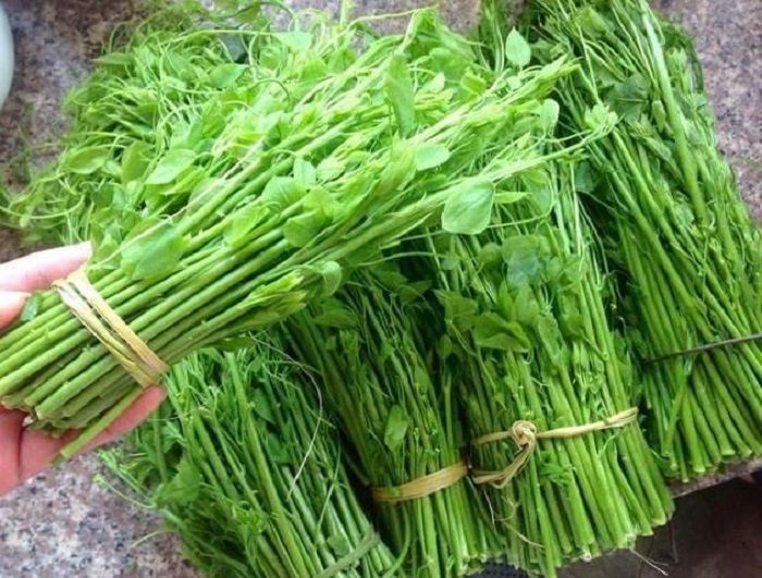 Ngọn susu là đặc sản nổi tiếng Đại Lải