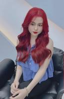﻿﻿Salon Bắc Trần Tiến
