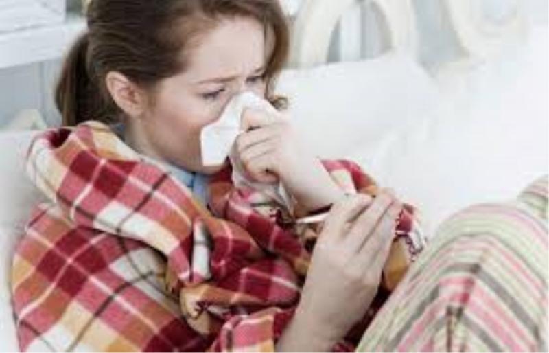 Bạn sẽ ít bị cảm lạnh hơn