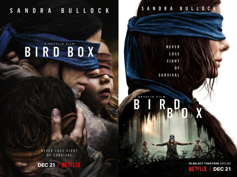 Bird Box