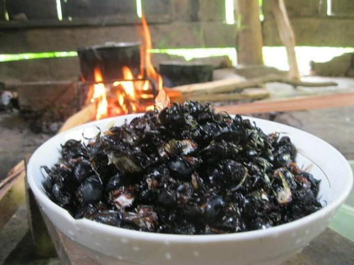 Món bọ hung tê giác