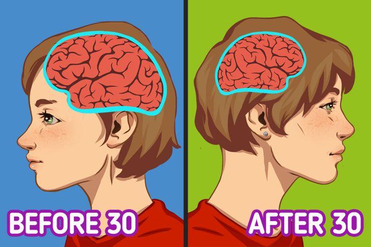 Bộ não sẽ trở nên bé hơn