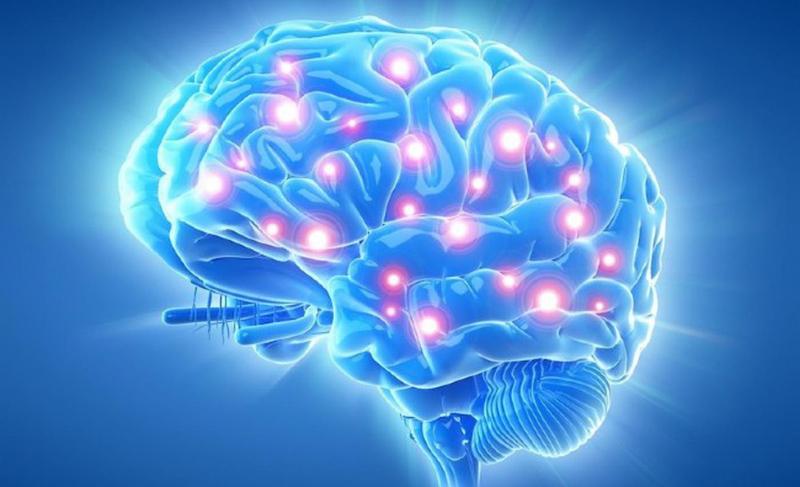 Bộ não sẽ trở nên bé hơn