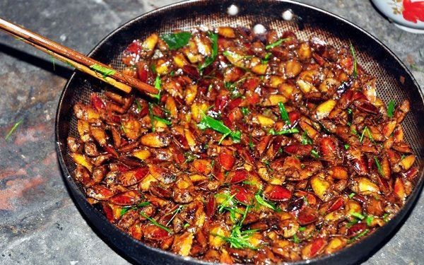 Món Mối đất chiên