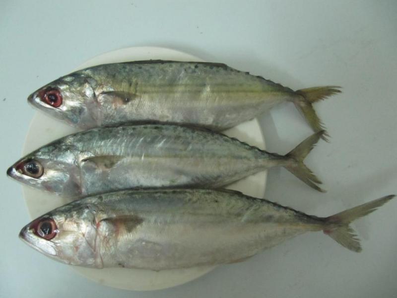 Cá bạc má kho măng