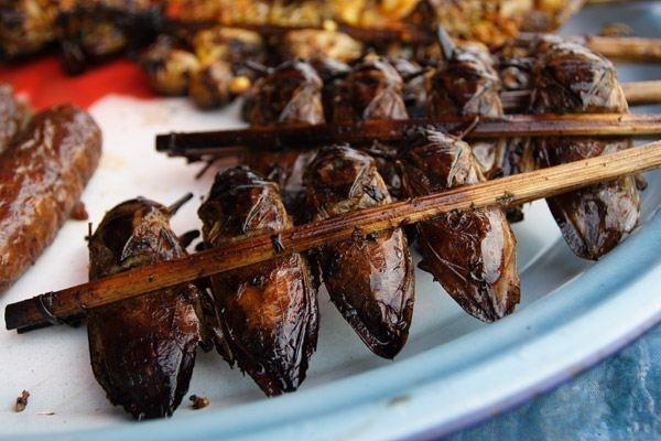Món cà cuống