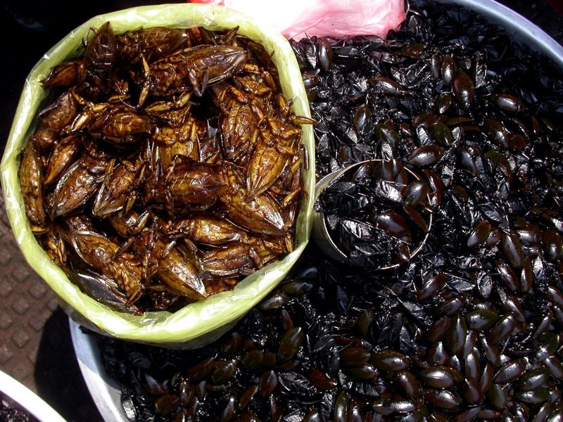 Món nhậu Cà Niễng