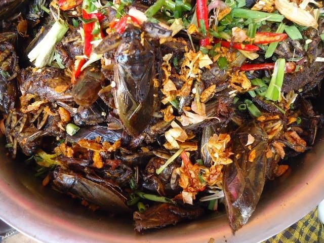 Món nhậu Cà Niễng