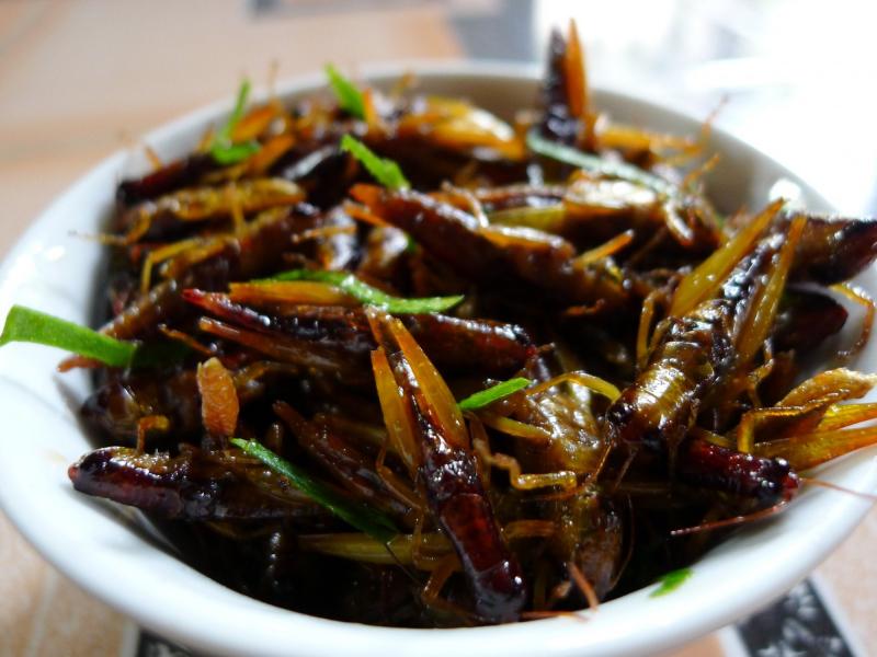 Châu chấu rang