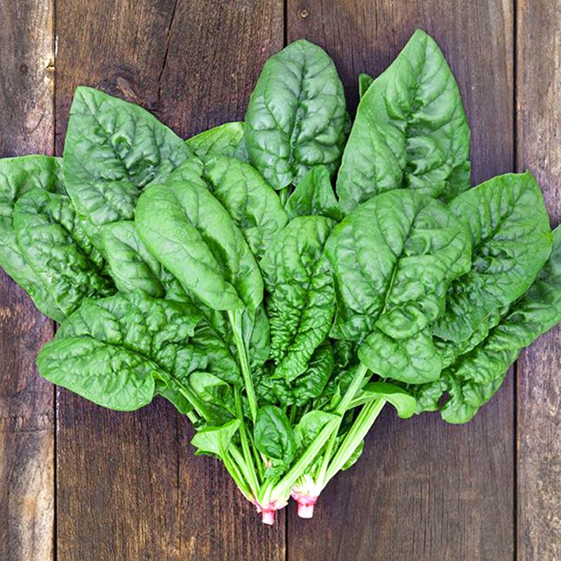Vitamin C, flavonoid, beta carotene là những chất dinh dưỡng có trong cải bó xôi giúp cơ thể bạn tăng sức đề kháng