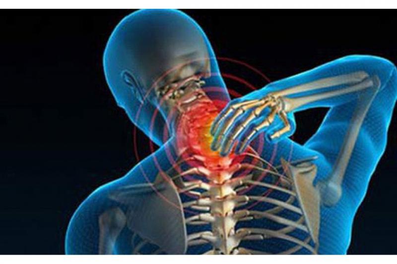Tỏi làm chậm quá trình loãng xương của cơ thể