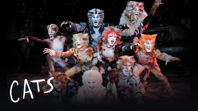 Cats (20/12)