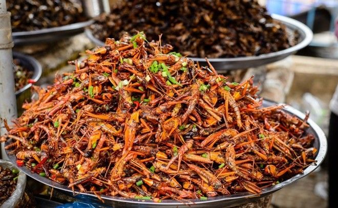 Món Châu chấu
