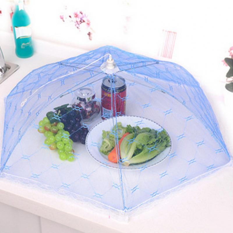 Che đậy thực phẩm tránh côn trùng
