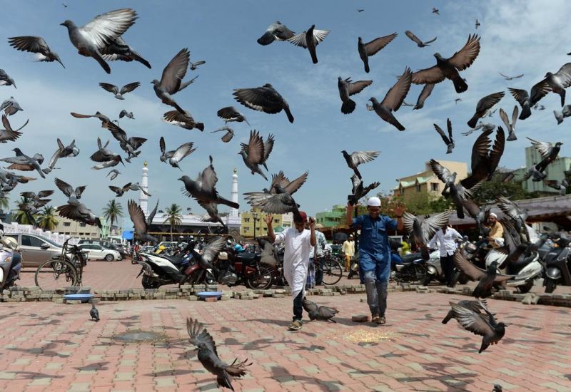 Chennai - Ấn Độ