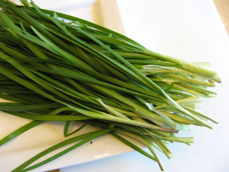 Trị ho bằng lá hẹ