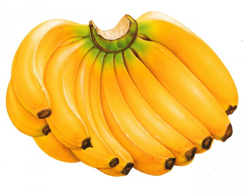 Trong chuối có nhiều vitamin, là nguồn bổ trợ năng lượng không thể thiếu những ngày Tết