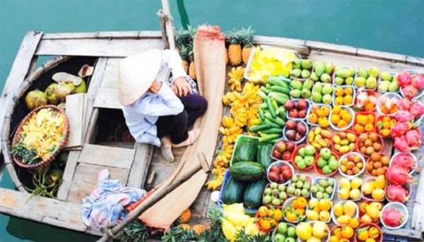 Du khách sẽ được thưởng thức nhiều trái cây ngon, đặc sản, có thể mua về làm quà cho gia đình bạn bè.