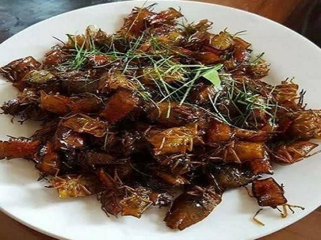 Món bọ xít rang lá chanh