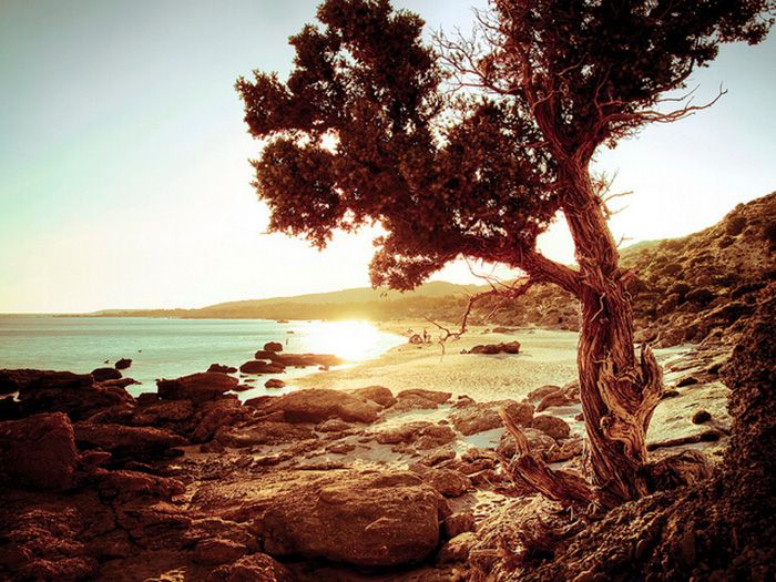 Crete là hòn đảo lớn nhất và đông dân nhất của Hy Lạ