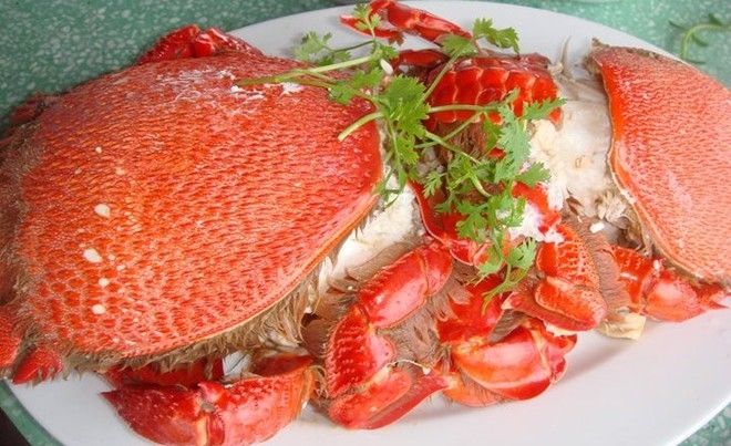 Cua Hoàng Đế là một loài cua rất quý hiếm.