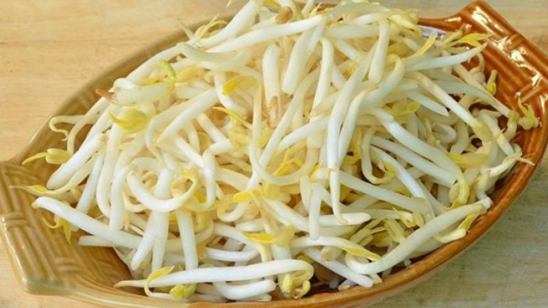 Cung cấp protein cho cơ thể