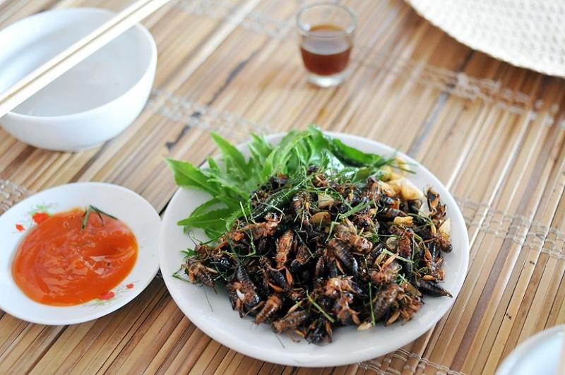 Các món ăn làm từ dế mèn có giá trị dinh dưỡng cao, giàu chất béo, chất đạm và vi lượng cao.
