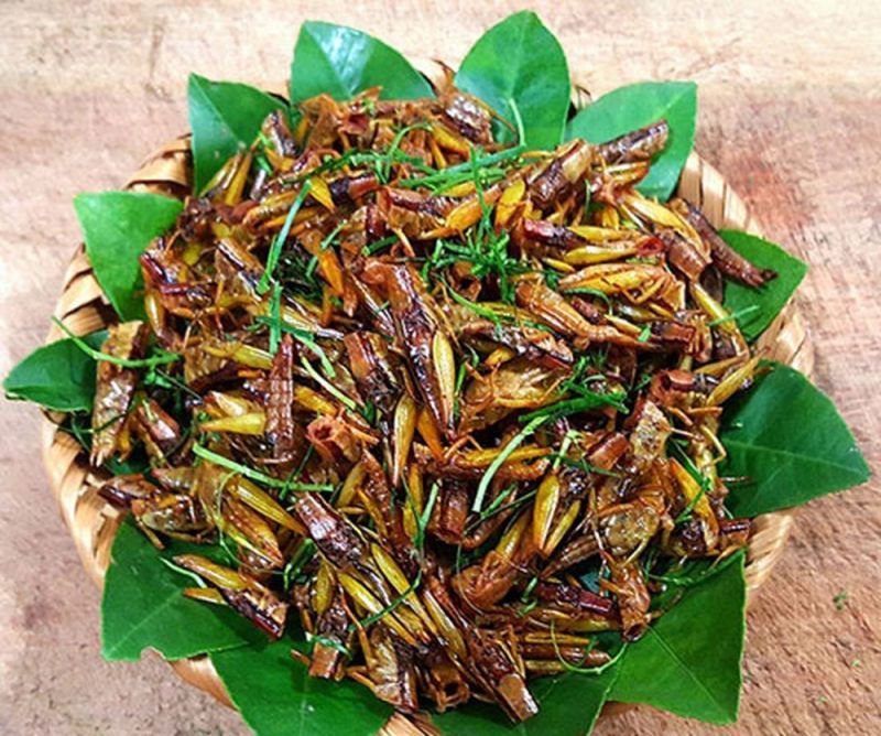 Dế mèn chiên giòn