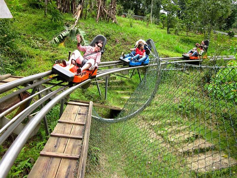 Đà Lạt luôn níu chân du khách bởi những điểm vui chơi hấp dẫn