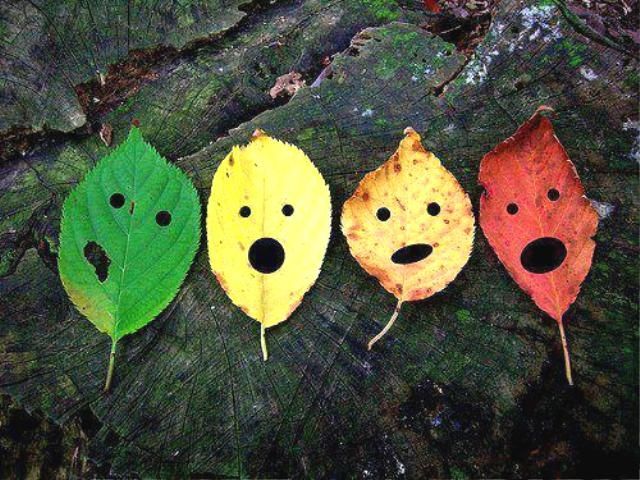 Dám đương đầu với thời tiết để vượt lên chính mình