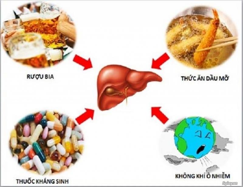 Trục xuất các độc tố ra ngoài cơ thể