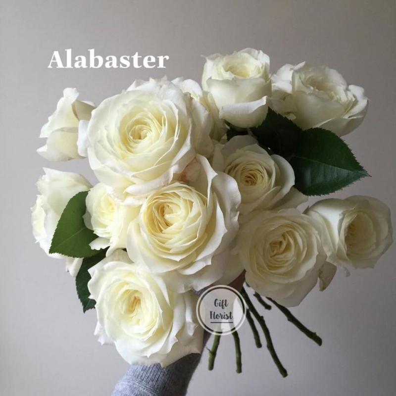 Gift Florist