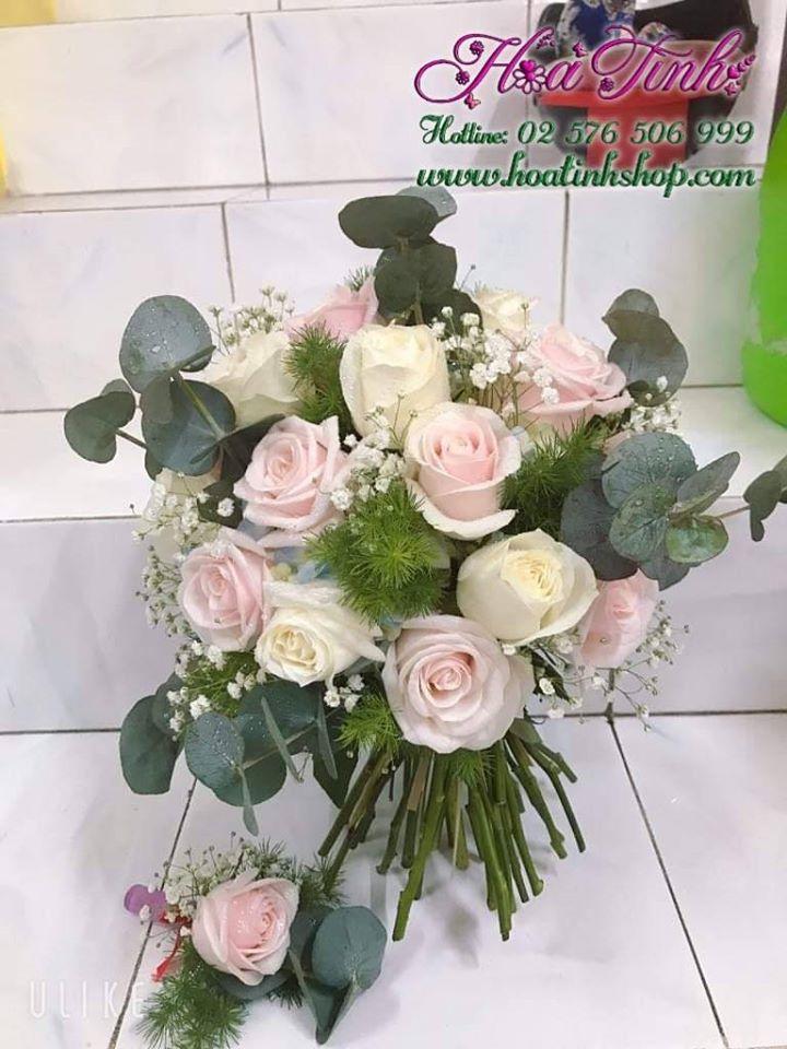 Hoa Tình Shop - Điện Hoa Tuy Hòa Phú Yên