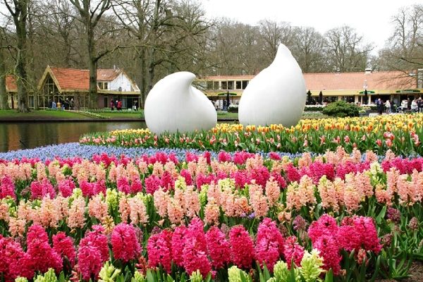 Keukenhof