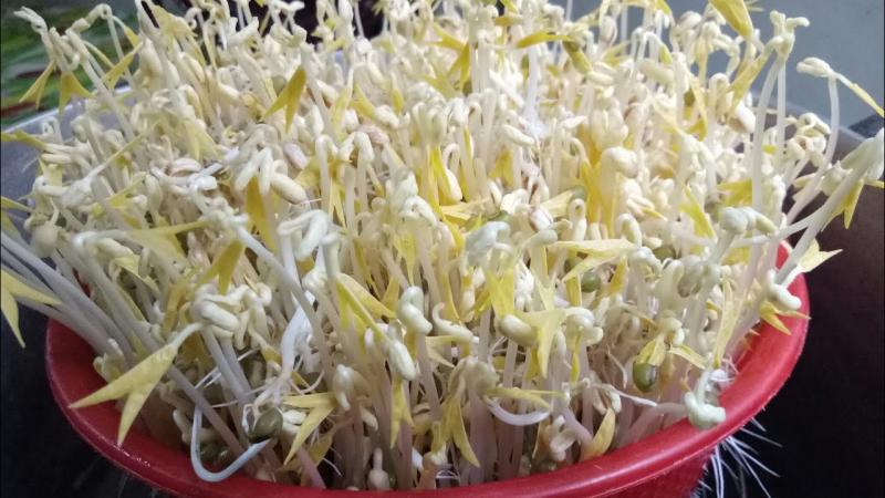 Hỗ trợ điều trị thiếu máu