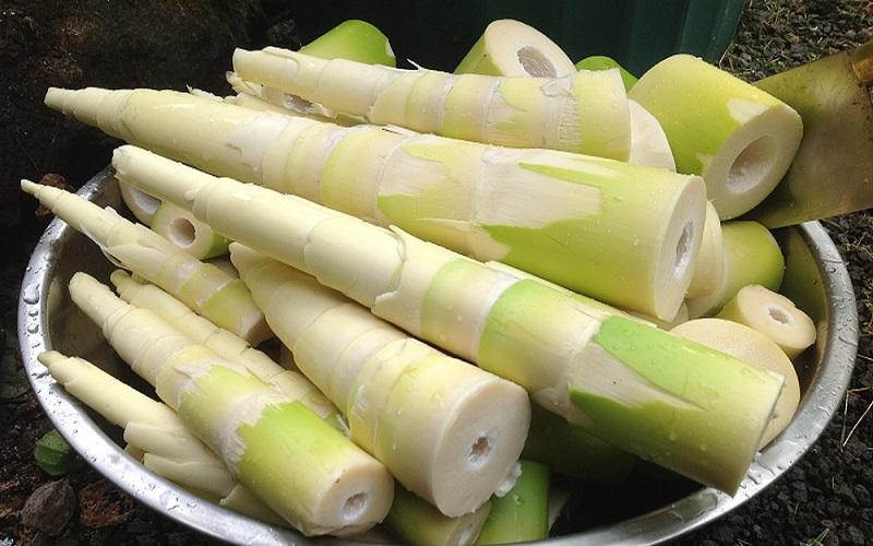 Măng tươi