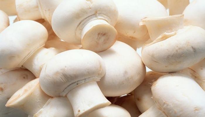 Nấm mỡ giàu giá trị dinh dưỡng