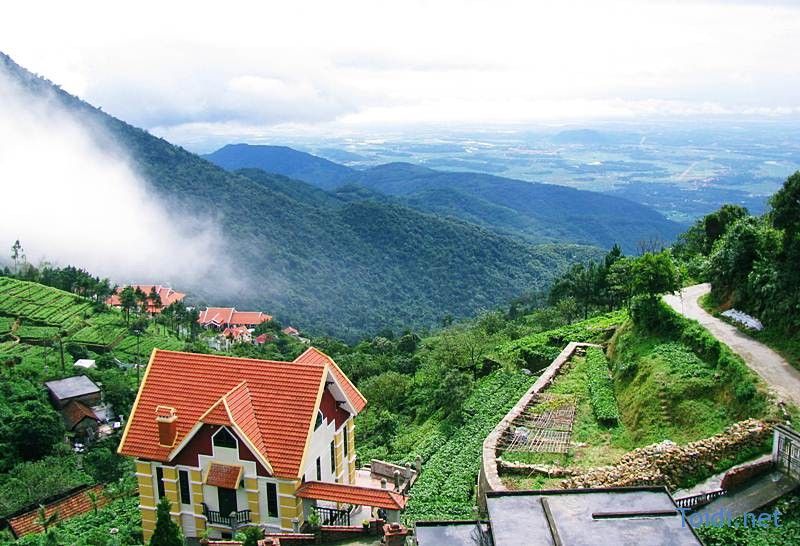 Tam Đảo còn được mệnh danh là “Đà Lạt ở phía Bắc”