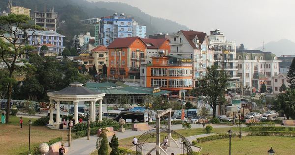 Tam Đảo