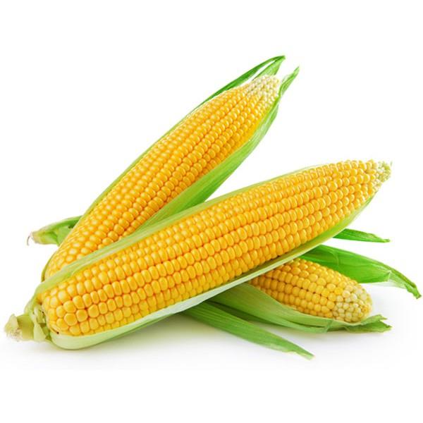 Ngô