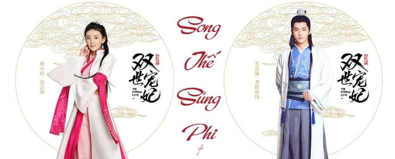 Song thế sủng phi