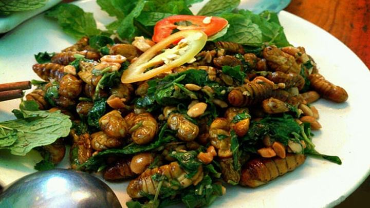 Nhộng Tằm là món ăn quen thuộc trong các bữa ăn hàng ngày của người dân, nhất là ở các địa phương có nghề nuôi tằm.