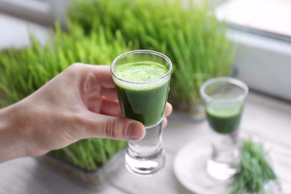 Nước ép cỏ lúa mạch