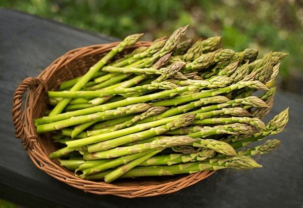 Sắn và măng tây gây độc nếu không được sơ chế đúng cách