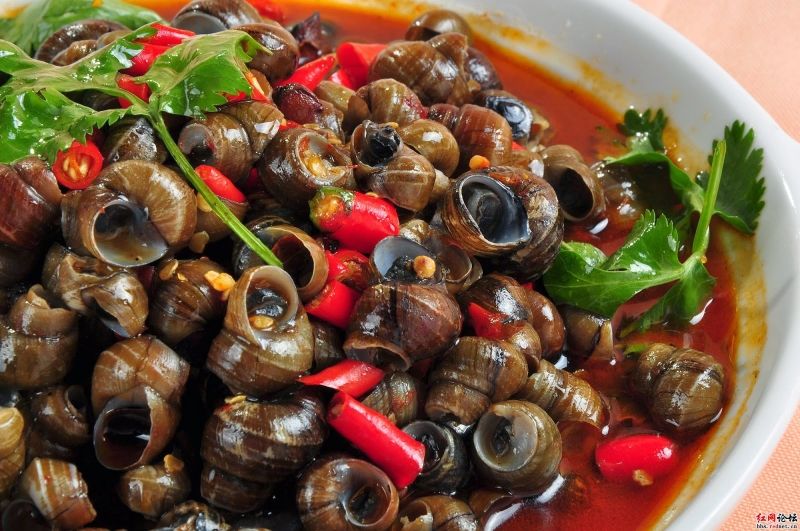 Ốc xào cay