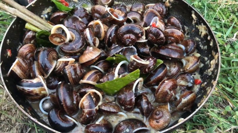 Ốc đá xào chân núi