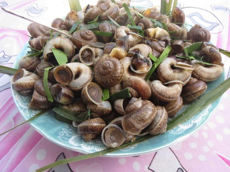 Ốc núi thơm ngon
