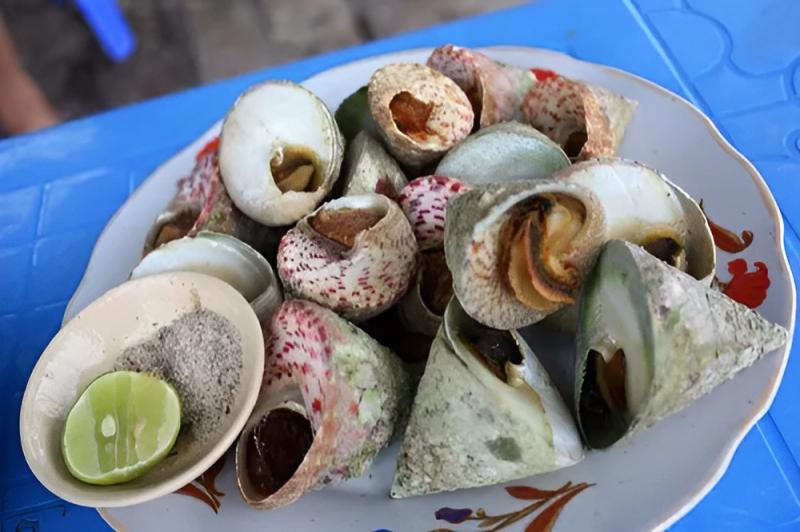Ốc vú nàng - Côn Đảo
