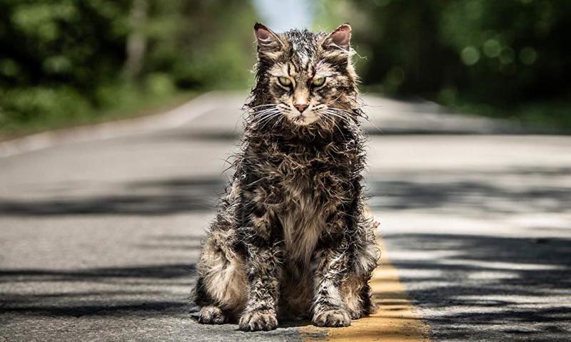 Pet Sematary (5/4)
